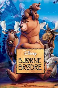 Bjørne brødre
