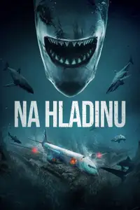 Na hladinu