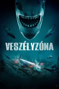 Veszélyzóna