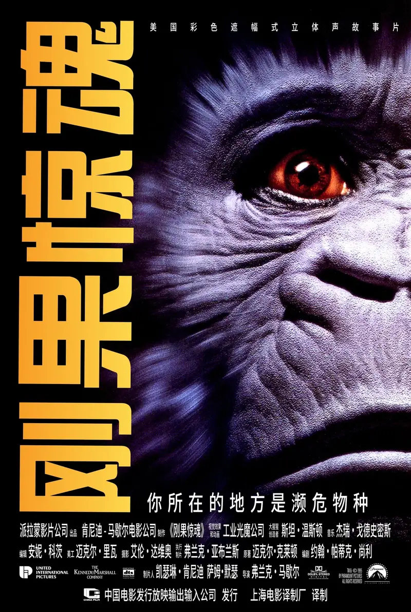 刚果惊魂