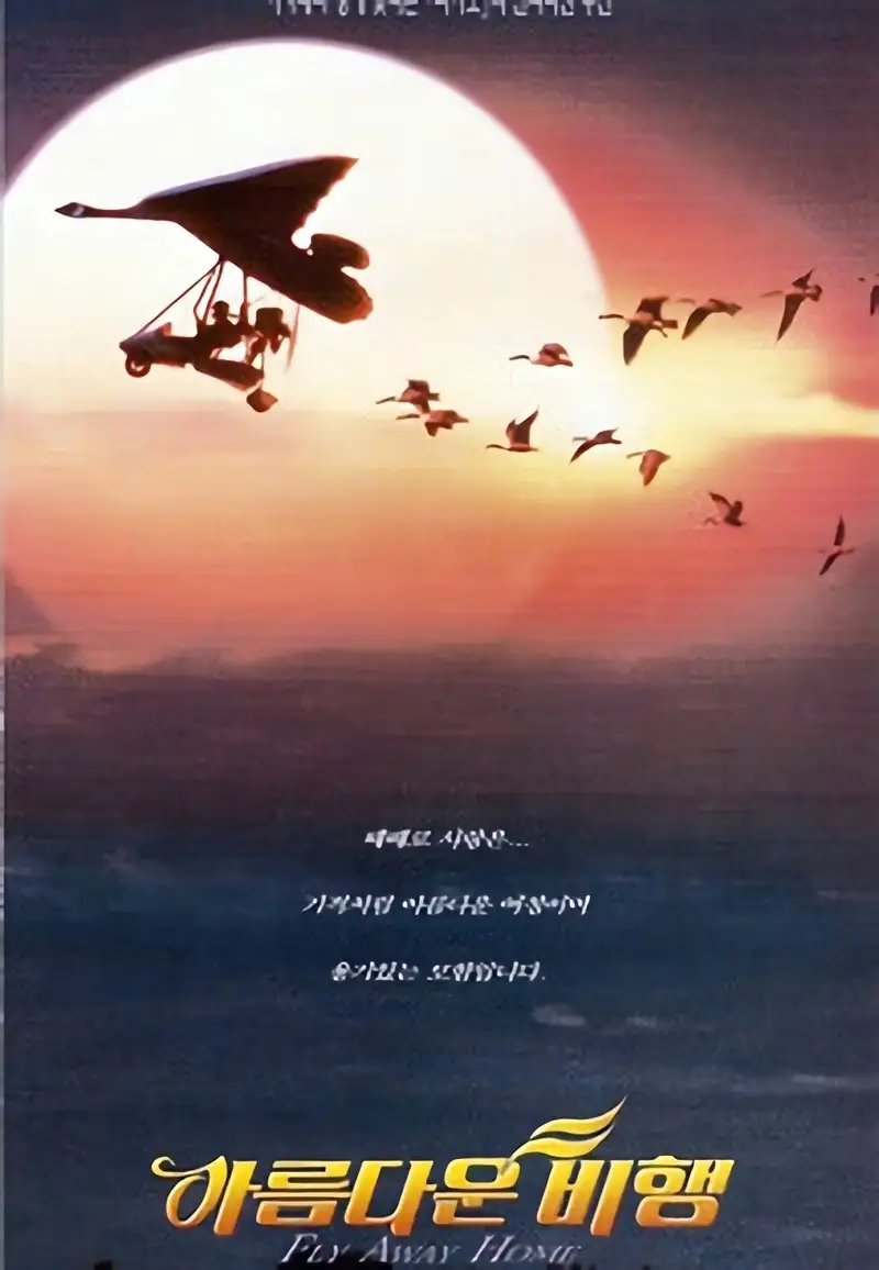 아름다운 비행