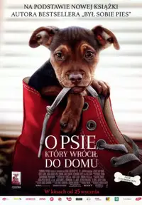 O psie, który wrócił do domu