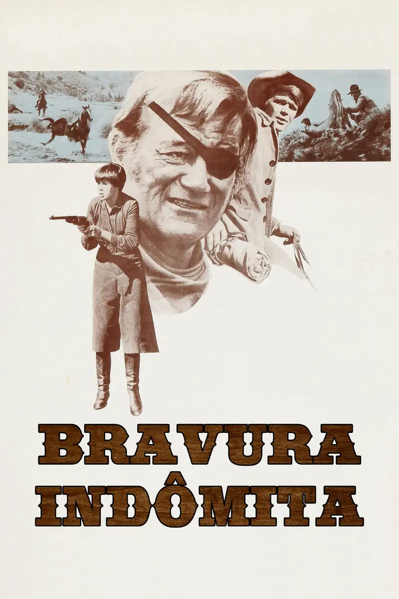 A Velha Raposa