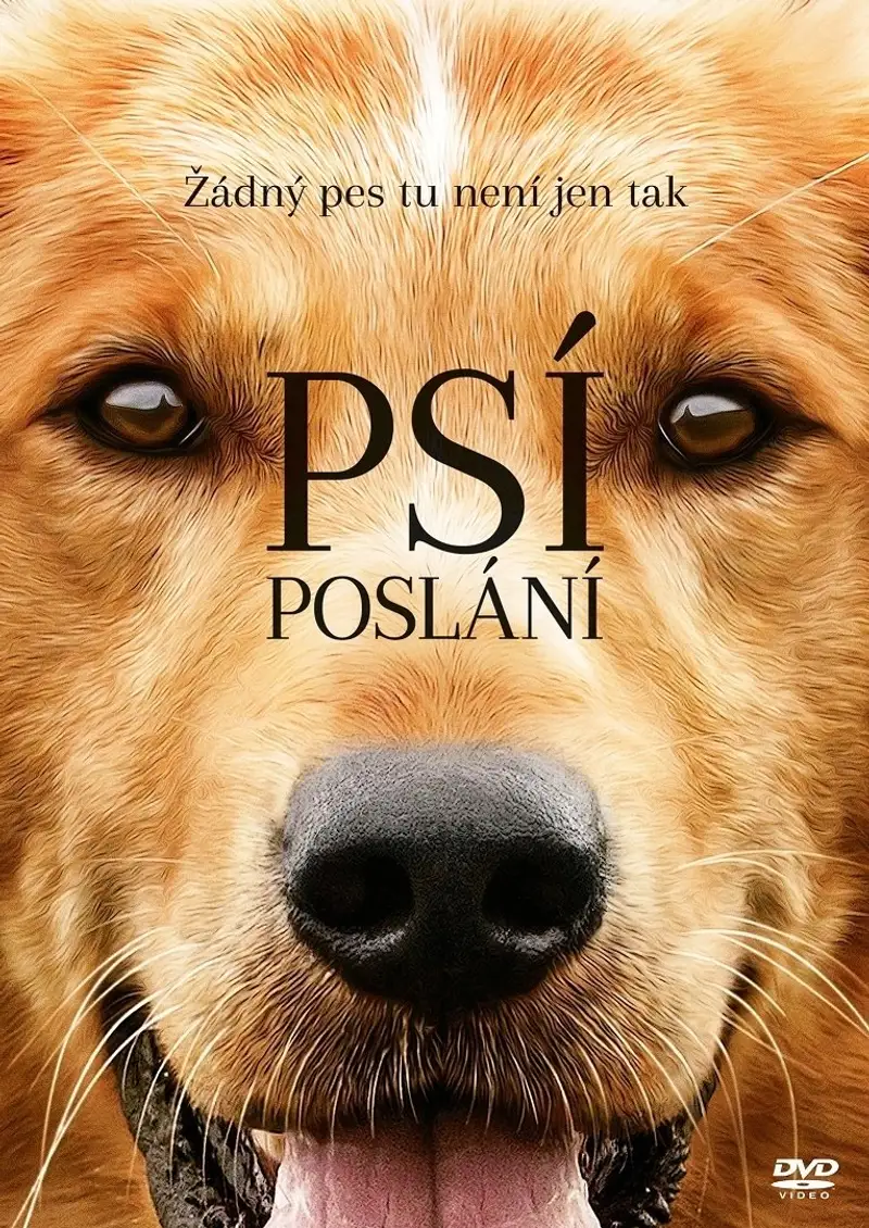 Psí poslání