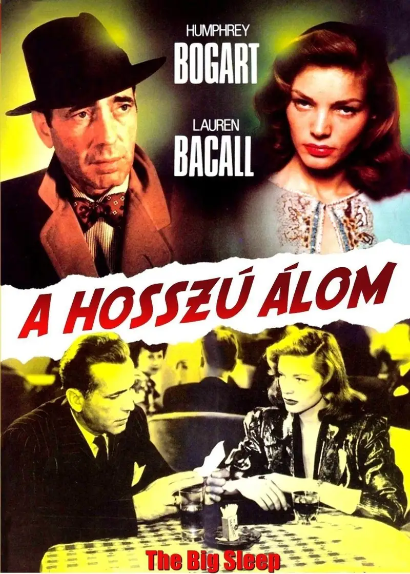 A hosszú álom