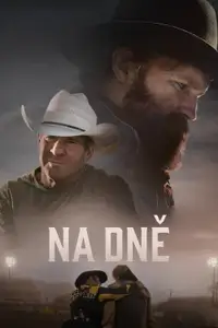 Na dně