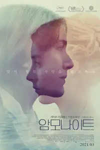 암모나이트