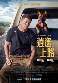忠犬