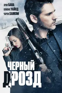 Чёрный дрозд