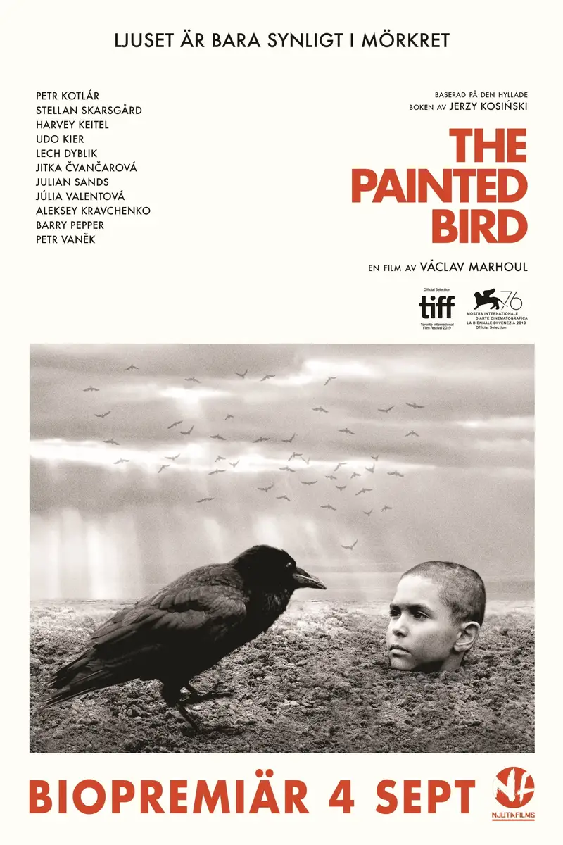 The Painted Bird