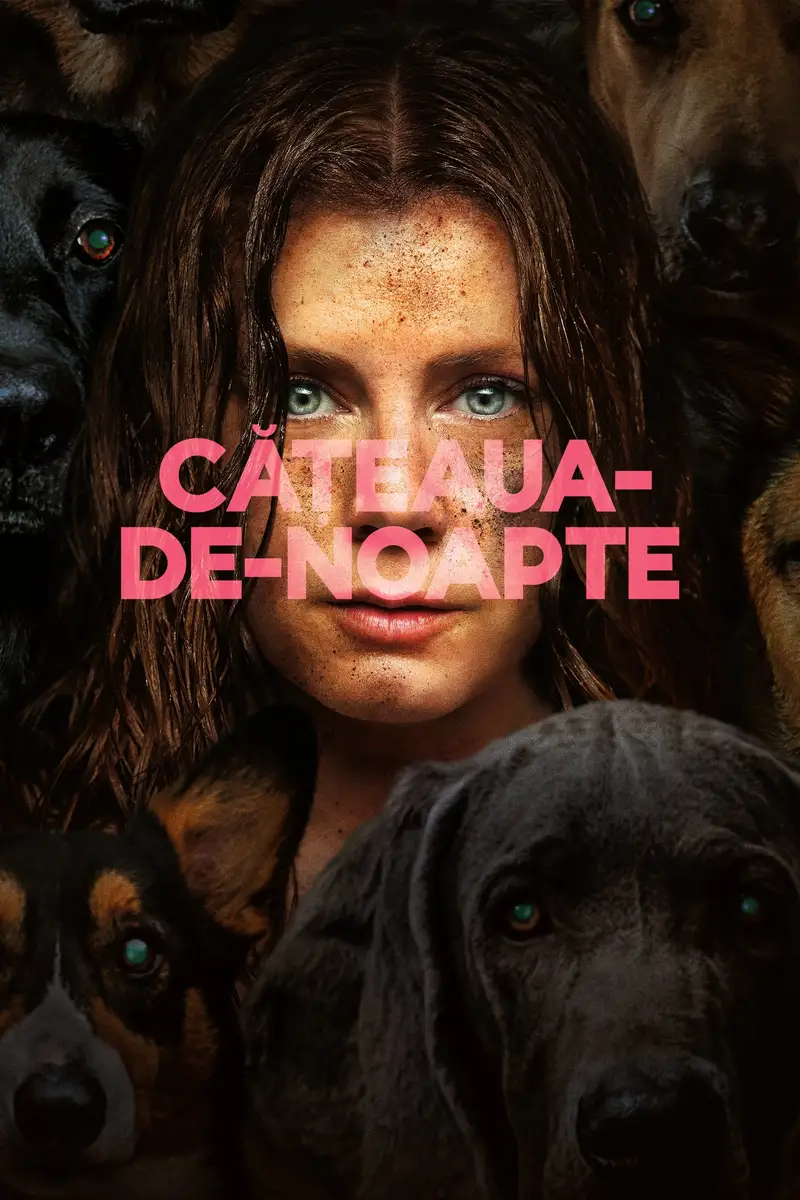 Cățeaua-de-Noapte