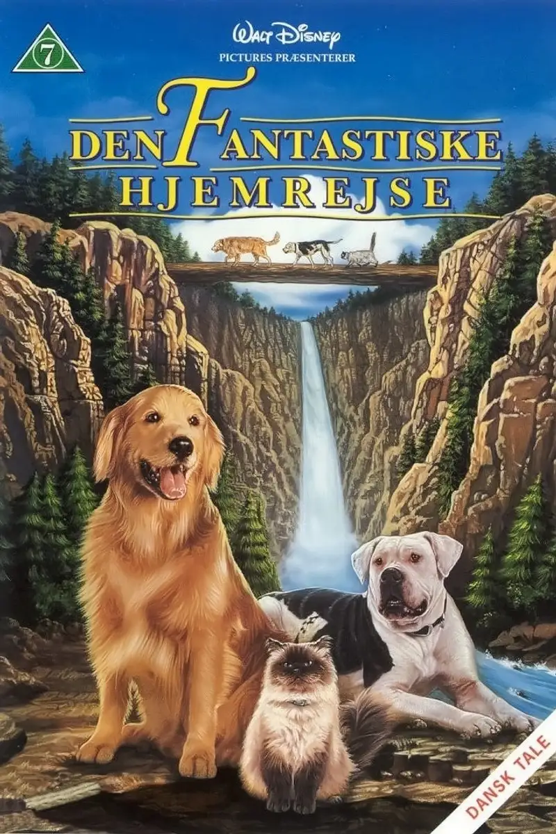 Den fantastiske hjemrejse