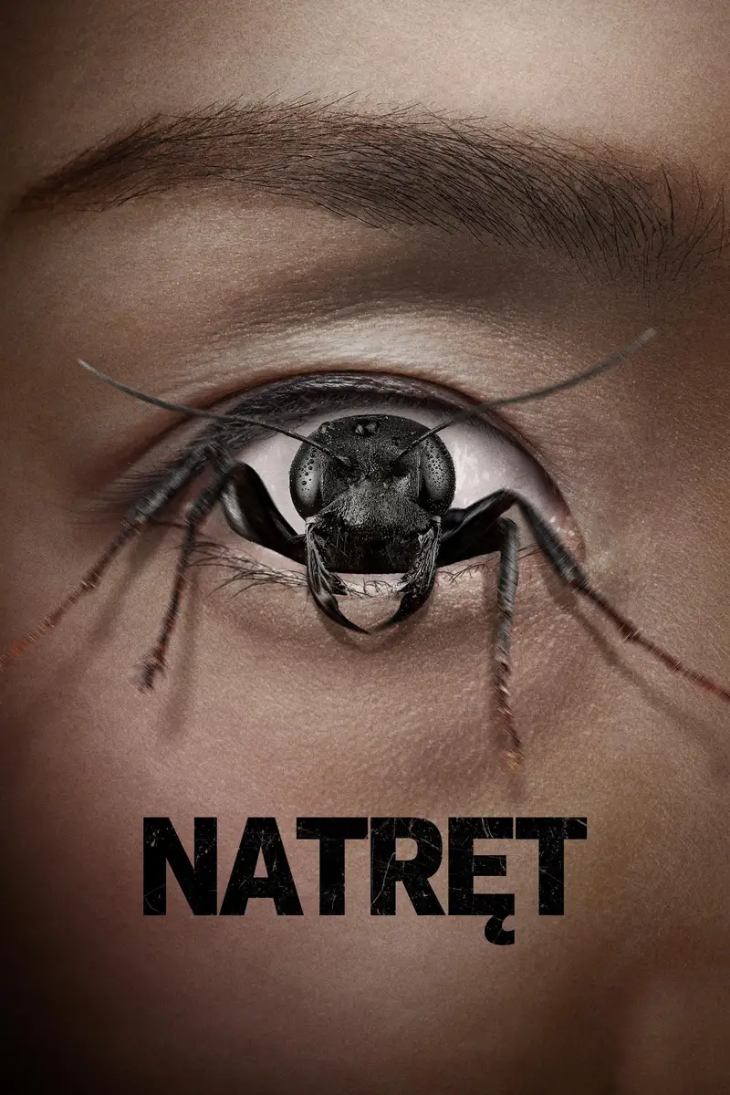 Natręt