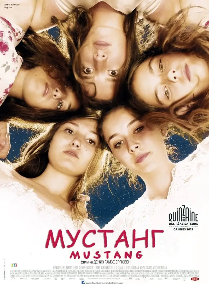 Мустанг