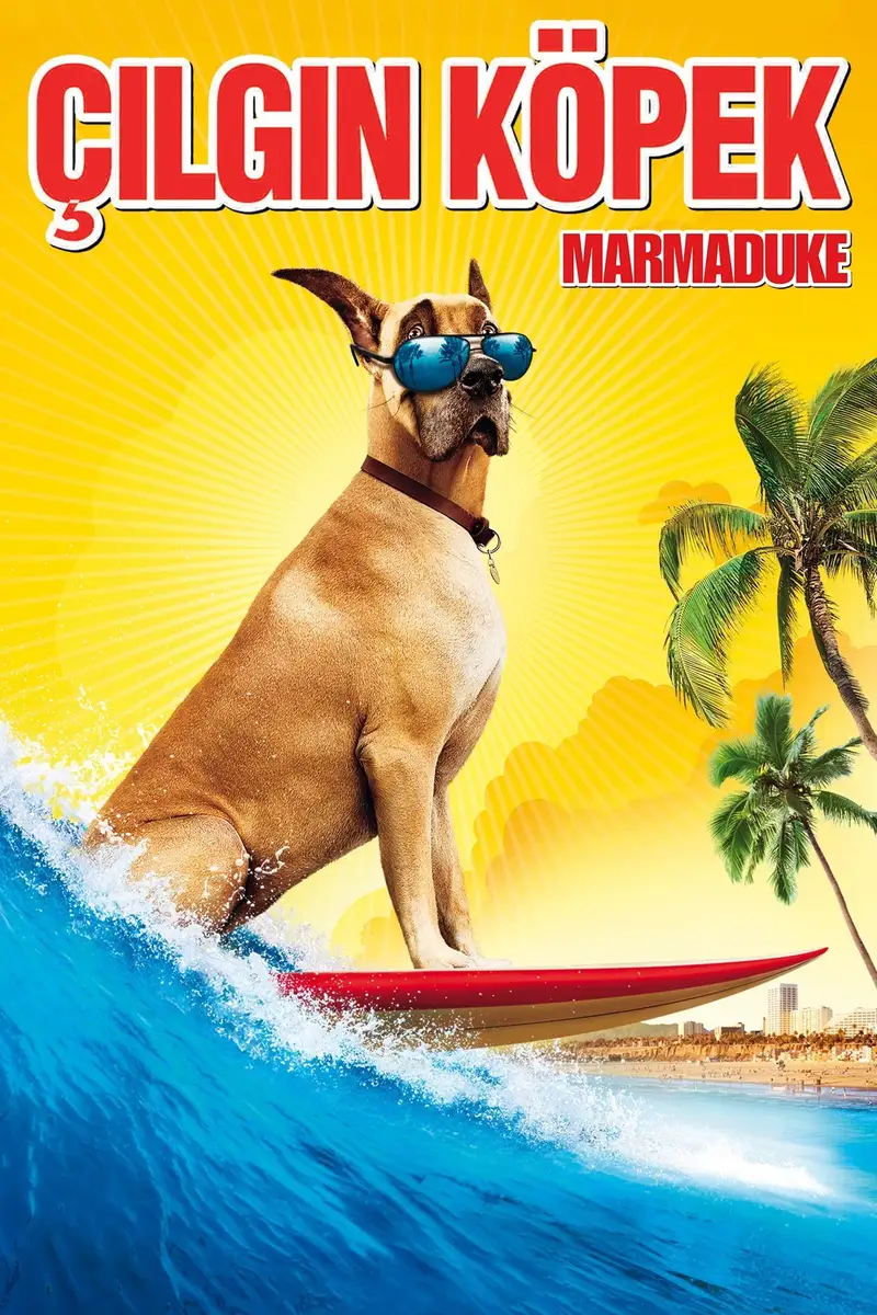 Çılgın Köpek