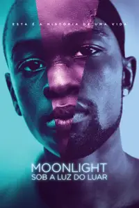 Moonlight