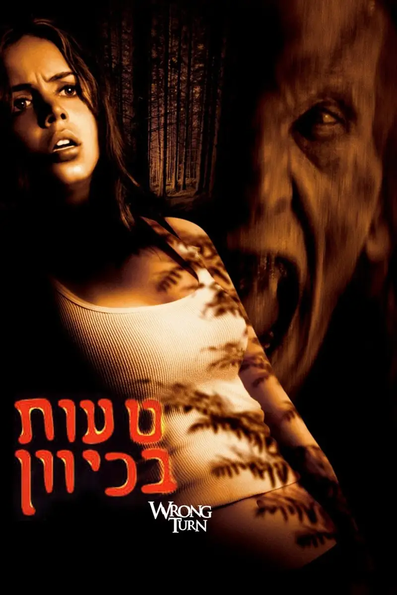 טעות בכיוון