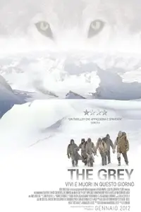 The Grey