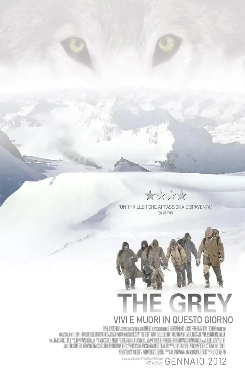 The Grey