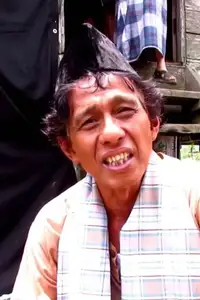 Arswendy Bening Swara