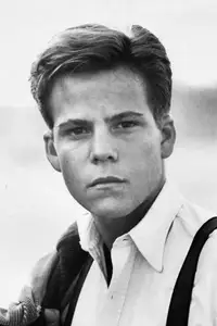 Stephen Dorff