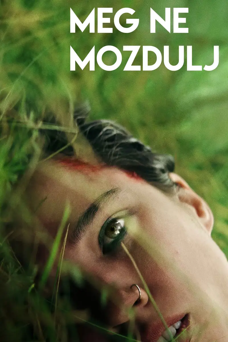 Meg ne mozdulj