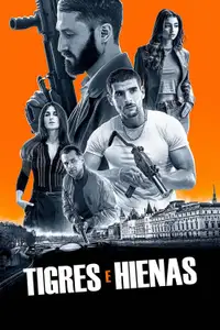 Tigres et Hyènes