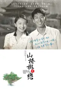 山楂树之恋