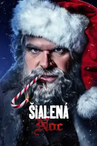 Šialená noc