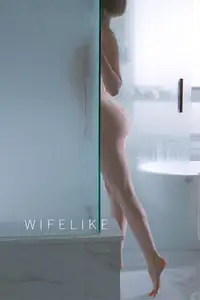 仿生贤妻