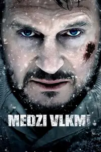 Medzi vlkmi