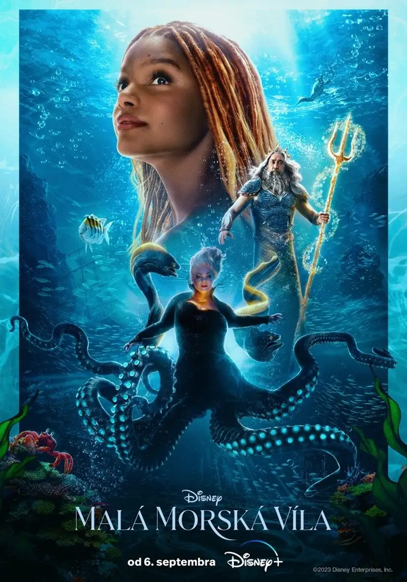 Malá morská víla