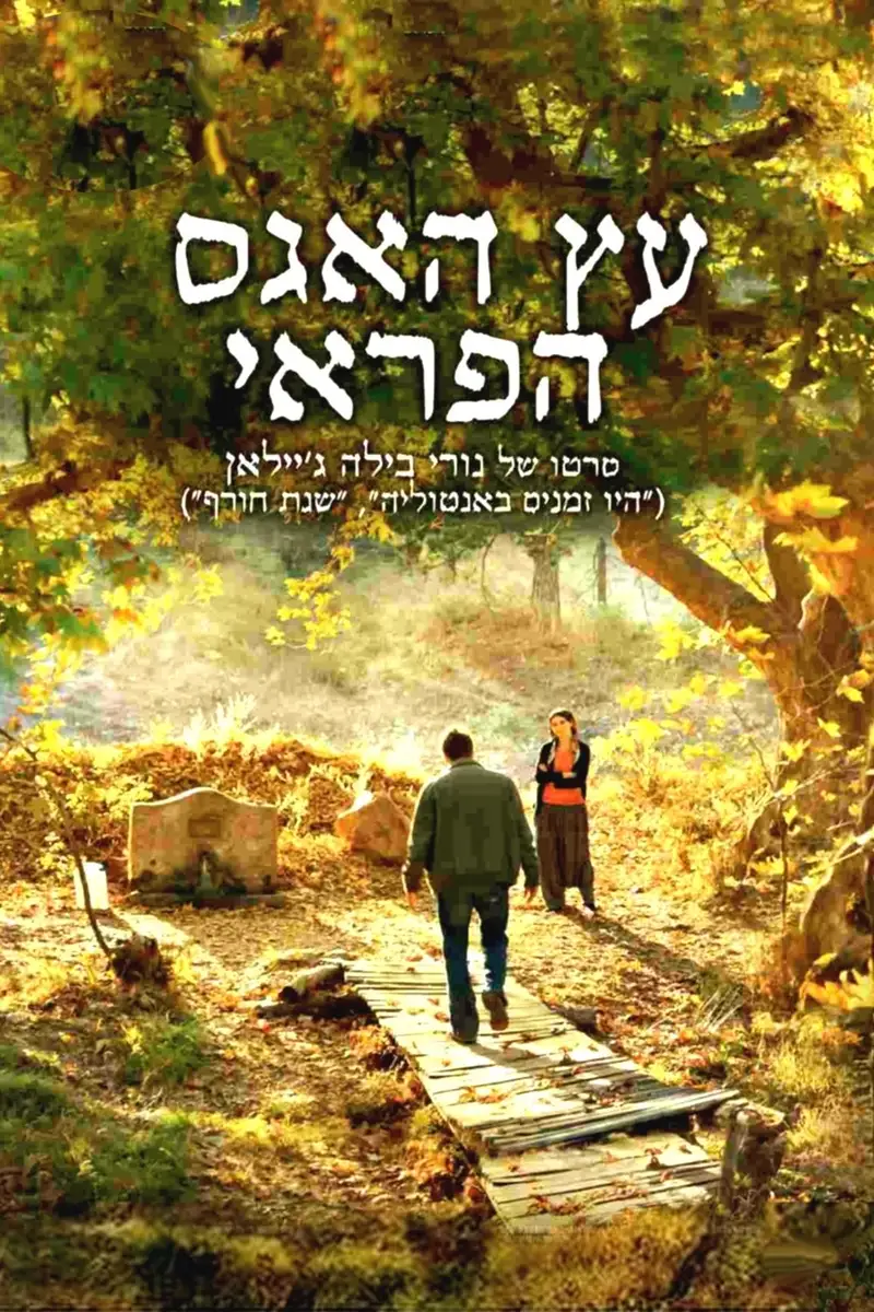 עץ האגס הפראי