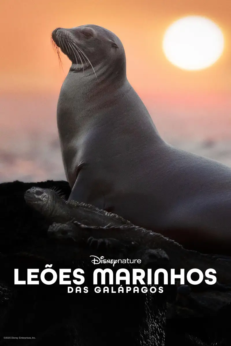 Leões-marinhos das Galápagos