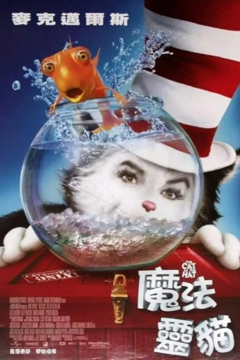 戴帽子的猫