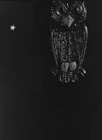 The Spider and the Fly