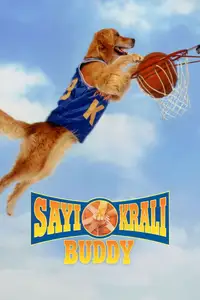 Sayı Kralı Buddy