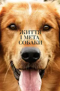 Життя і мета собаки