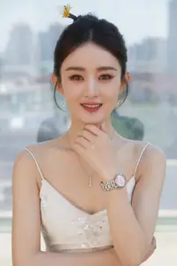 赵丽颖