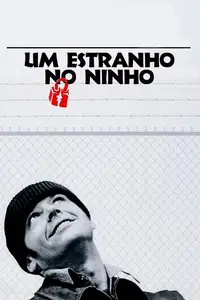 Voando Sobre Um Ninho de Cucos