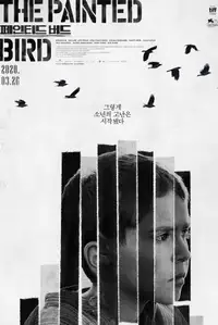 페인티드 버드