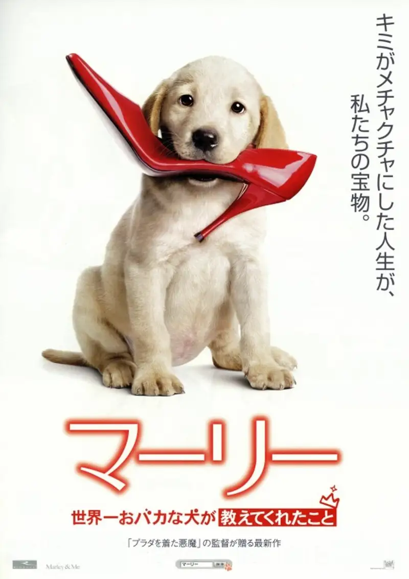 マーリー 世界一おバカな犬が教えてくれたこと