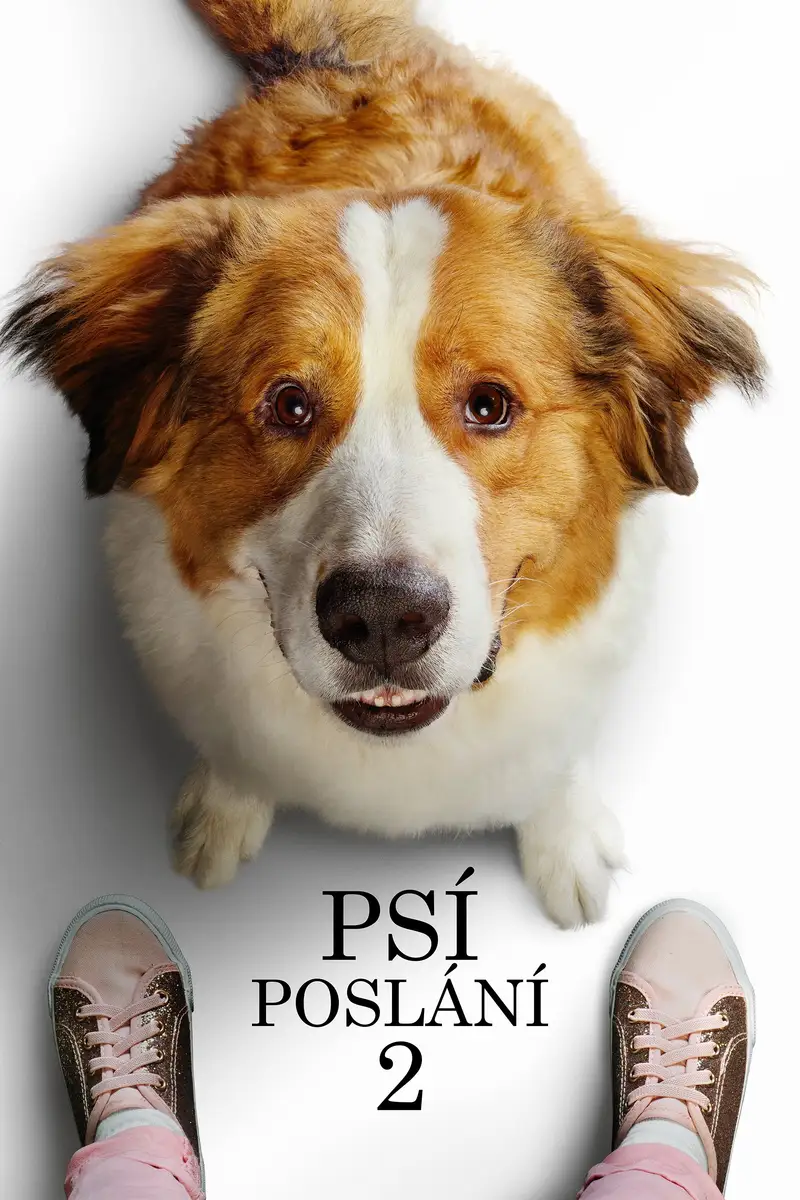 Psí poslání 2