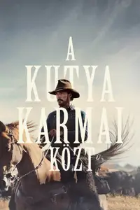 A kutya karmai közt