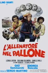 L'allenatore nel pallone