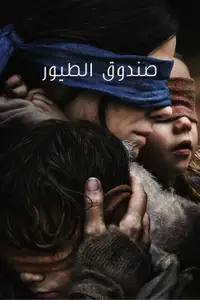 صندوق الطيور
