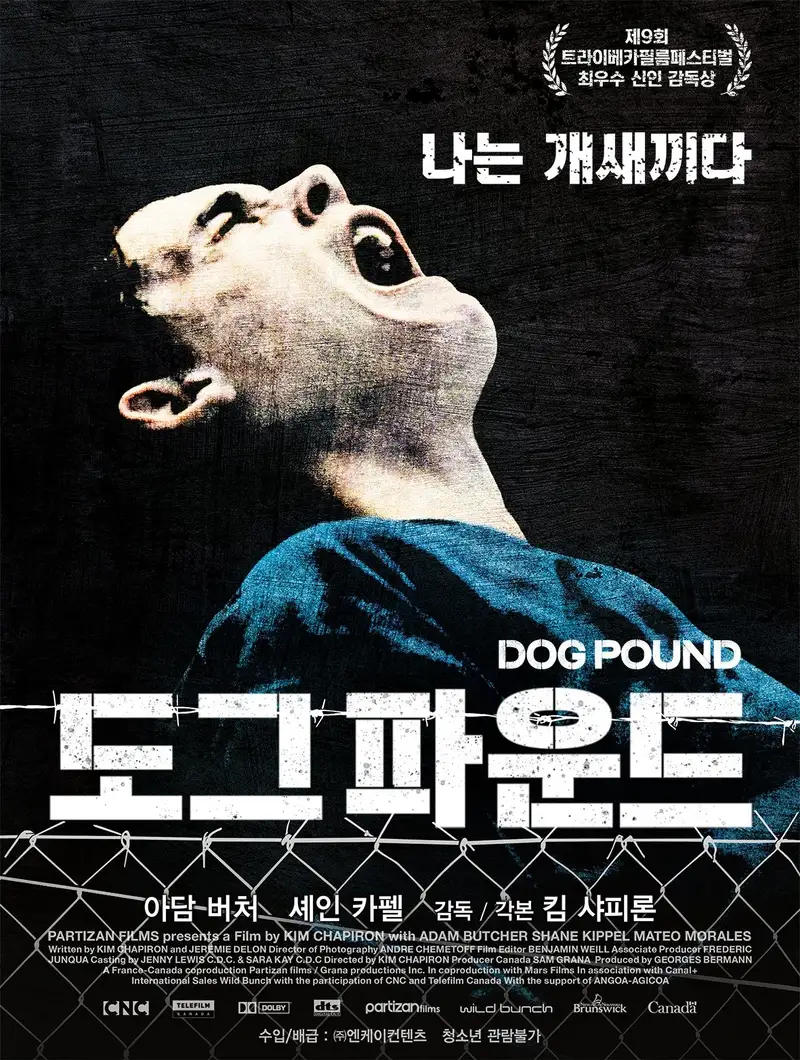 도그 파운드
