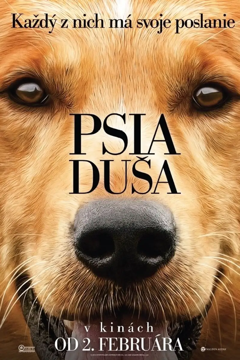 Psia duša