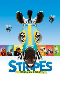 Im Rennstall ist das Zebra los