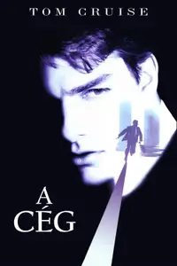 A Cég